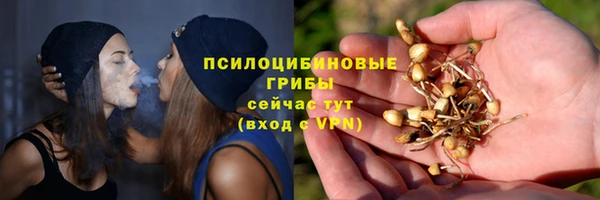 дживик Балахна