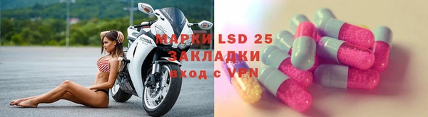 ГАЛЛЮЦИНОГЕННЫЕ ГРИБЫ Балабаново
