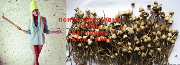 ГАЛЛЮЦИНОГЕННЫЕ ГРИБЫ Балабаново