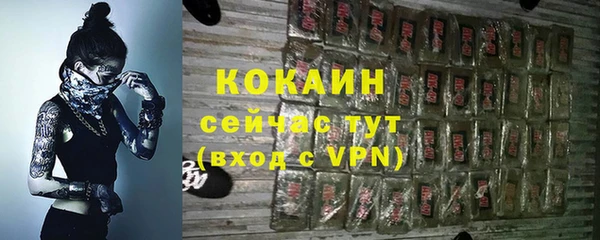 дживик Балахна