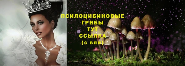 jwh Баксан