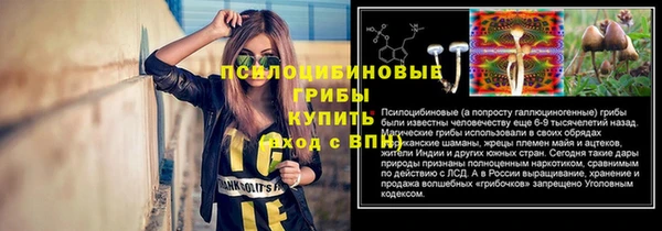 ГАЛЛЮЦИНОГЕННЫЕ ГРИБЫ Балабаново