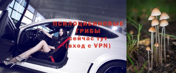 ГАЛЛЮЦИНОГЕННЫЕ ГРИБЫ Балабаново
