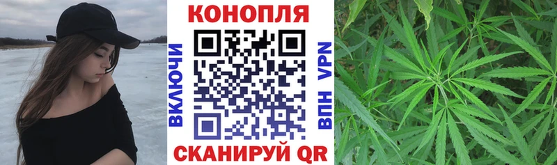 Бошки Шишки план  Печоры 